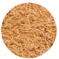 Tetra Reptomin Menu