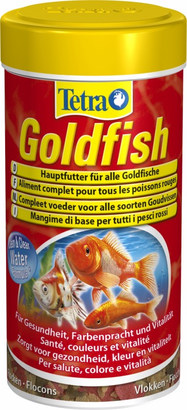 Tetra Goldfish 