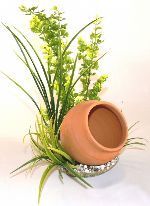 Sydeco Jar Plant