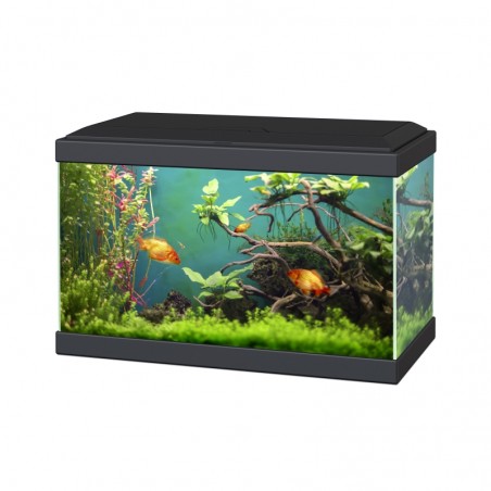 Aquarium Ciano Classic 20