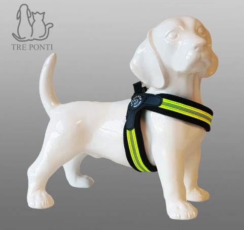 Tre Ponti - Fibbia Fluopop