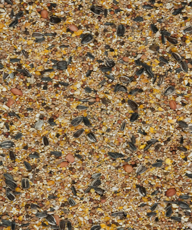 Tuinvogels - 4-seizoenen