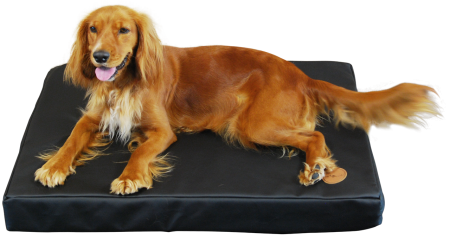 Jack and Vanilla Orthopedisch Kussen Classy