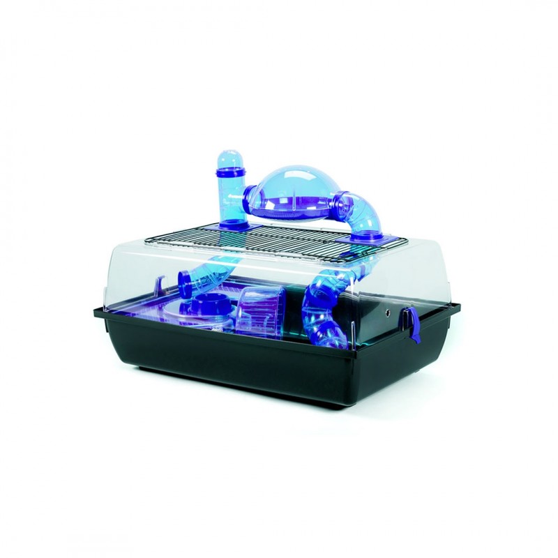 Kooi Alex Met Panorama