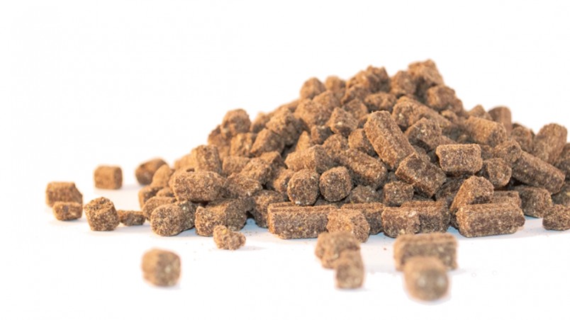 Faunus – Senior & Light