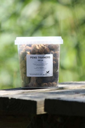 Faunus Pens Trainers