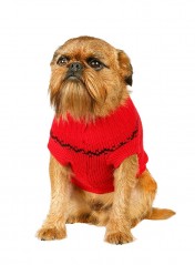 Rudolphs red sweater Urban Pup