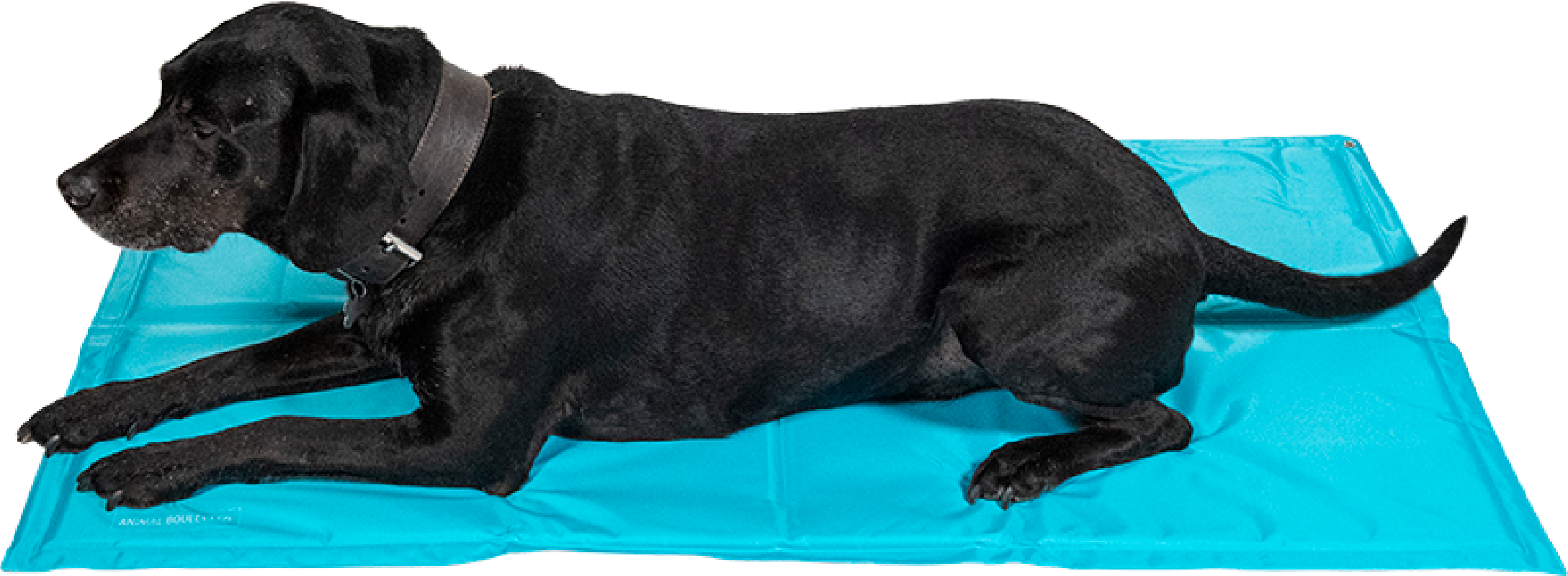 Animal Boulevard Verkoelende Bench Mat Animal Boulevard Verkoelende Bench Mat