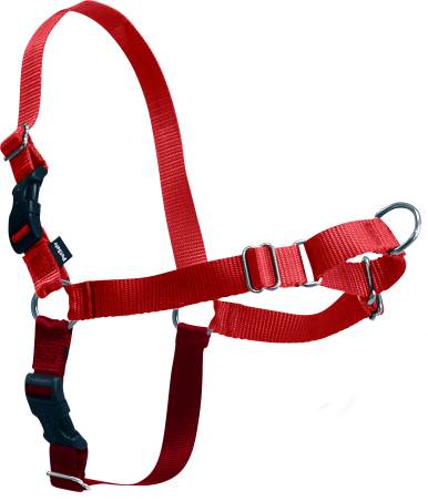 Petsafe Easy Walk Tuigje