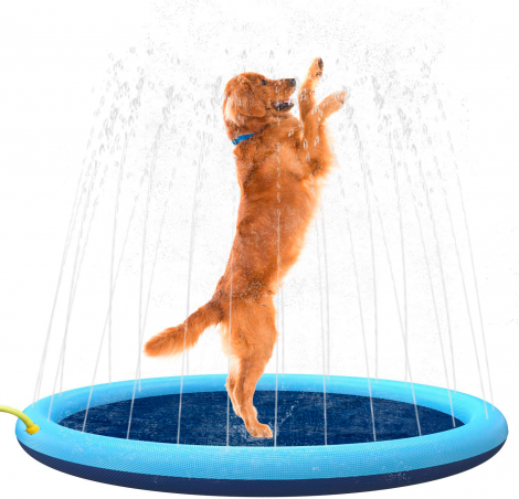 Animal Boulevard Verkoelende sprinkler mat