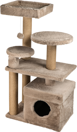 Animal Boulevard Krabpaal Roma