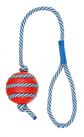 Bal Aan Fosforescerend Koord