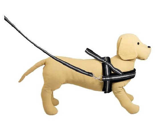 Jack & Vanilla Outdoor Tuigje