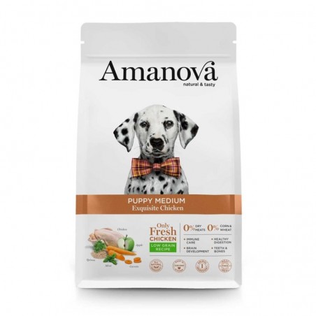 Amanova Puppy Medium Exquisite Chicken