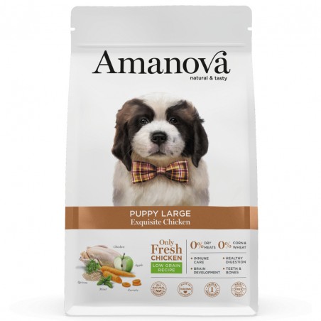 Amanova Puppy Large Exquisite Chicken