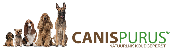 Canis Purus